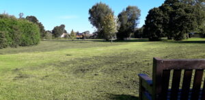 Yarnfield Village Green